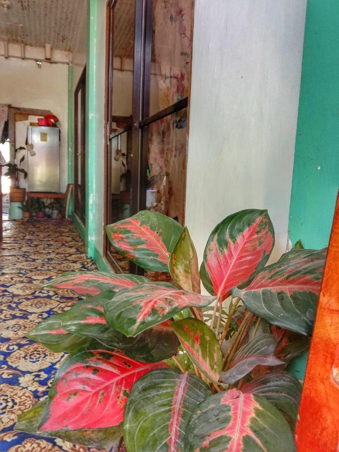 Abba Homestay Генерал-Луна Экстерьер фото